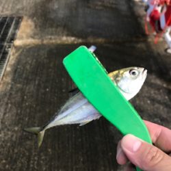 南港ジグサビキー