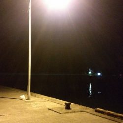 アジングしてたらタチウオ×2