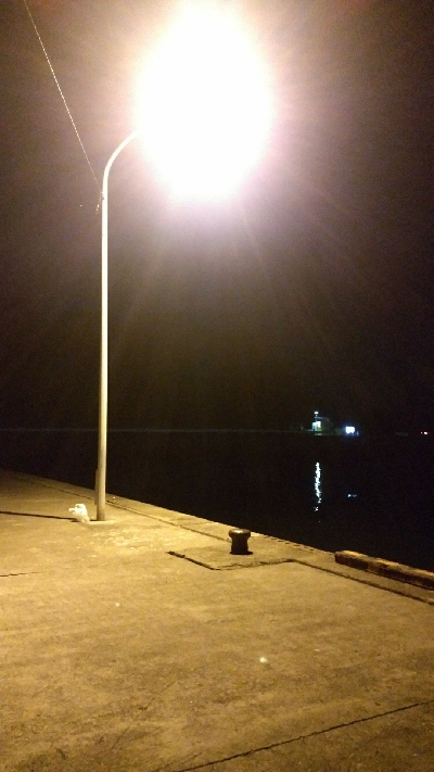 アジングしてたらタチウオ×2