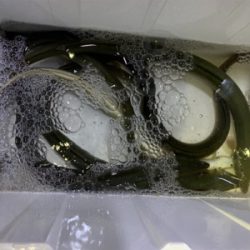 夕方のぶっ込み釣り