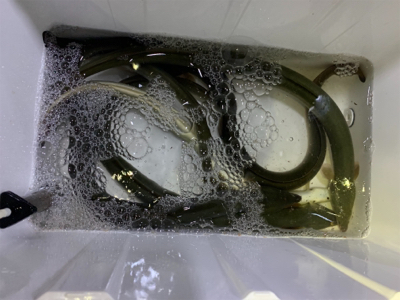 夕方のぶっ込み釣り