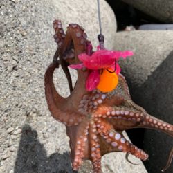 盆休み2日目、渋い。