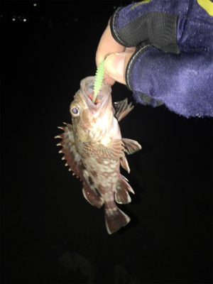 あなたは誰?メッキさん?