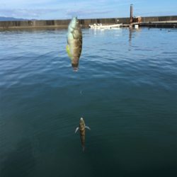 ファミリーフィッシング