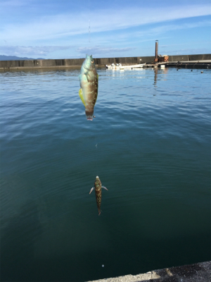 ファミリーフィッシング