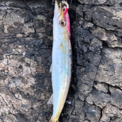 帰省前に寄り道