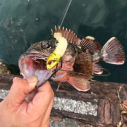 フラットゲームは…