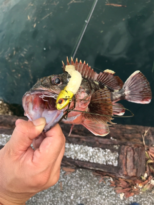 フラットゲームは…