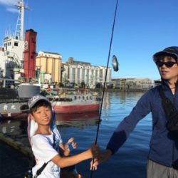 子供でもサビキ楽ちん。暑いけど…