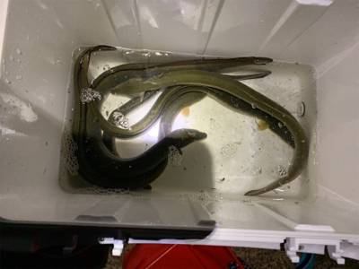 台風前に夕方のぶっ込み釣り