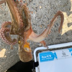 盆休み3日目、まぁまぁ!