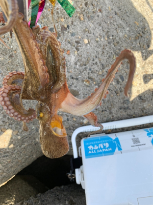 盆休み3日目、まぁまぁ!