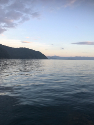 やっぱり、豆アジのみ…