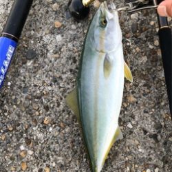 爆風ツバッシング