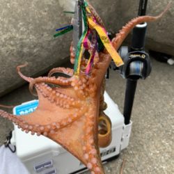 盆休み5日目もう終わり?