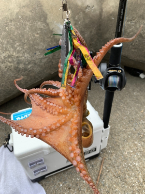 盆休み5日目もう終わり?