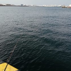 ジグサビキにて