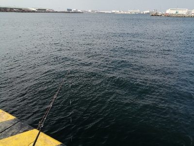 ジグサビキにて