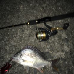 根掛かりばっかり