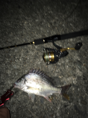 根掛かりばっかり