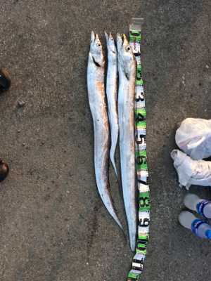 ショアでドラゴンゲット