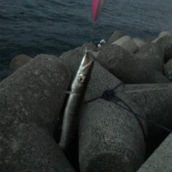 激しくショアジギング