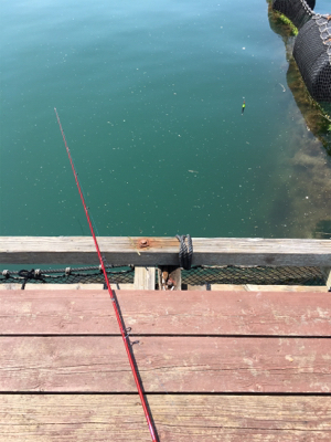 親子釣り堀体験