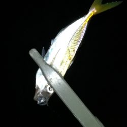 ナイトアジング