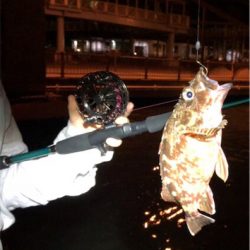 ちょこっと釣行