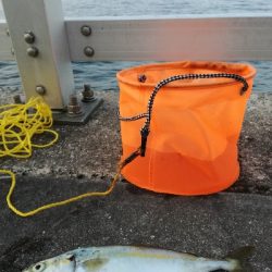 持って帰りましょうか