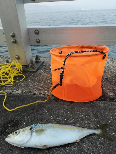 持って帰りましょうか