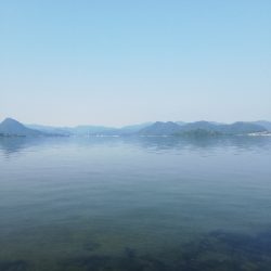 久しぶりの陸っぱり