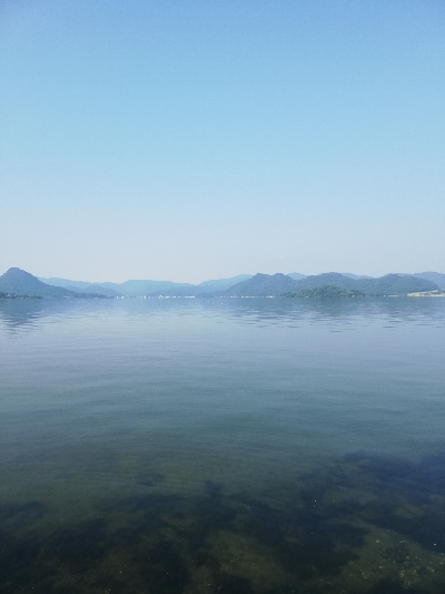 久しぶりの陸っぱり