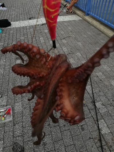 灼熱オクトパッシング。