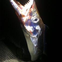 台風後のマリンピア