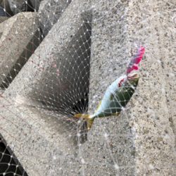 反応するルアー