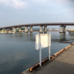 仕事帰りにちょっとアジングに……