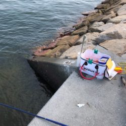 波止フカセ釣り