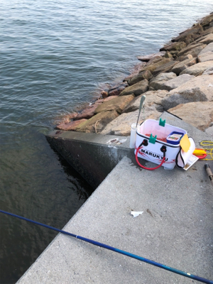 波止フカセ釣り