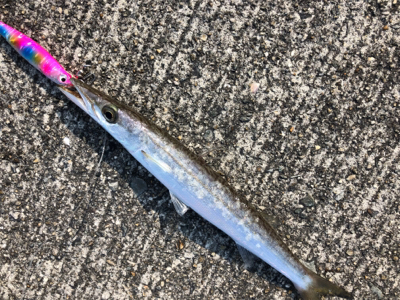 小物フィーバー…汗