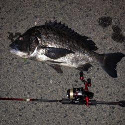 ライトゲーム遊び