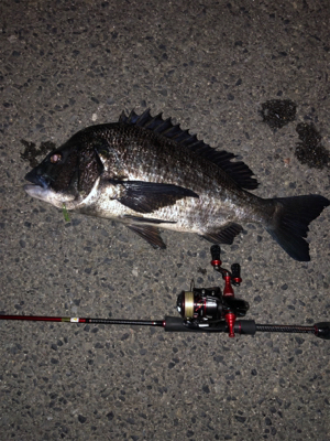 ライトゲーム遊び