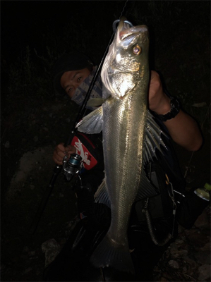 リバーシーバス