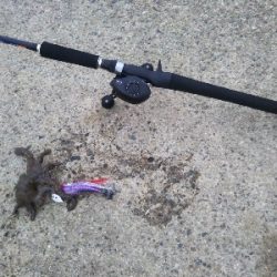 かもめ大橋→夢舞大橋へ