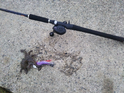 かもめ大橋→夢舞大橋へ