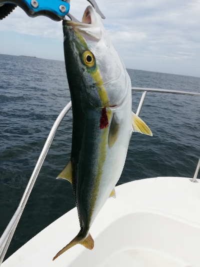 キャスティング　タイラバ