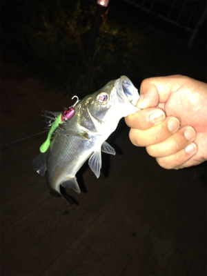 平日ナイトゲーム