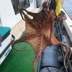 タコ   西海丸