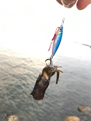 ツバスのはずが