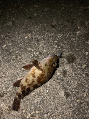 真夜中の郡六へ